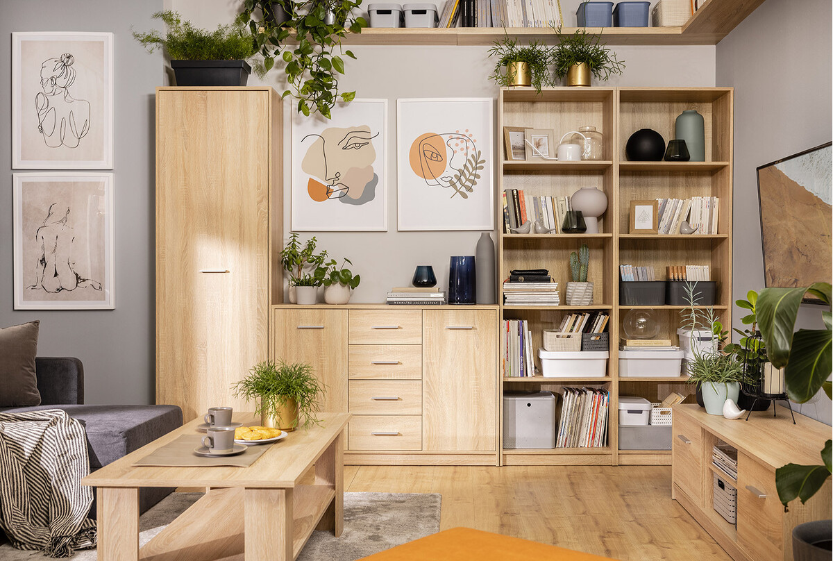 Kolekcija namještaja Novsore