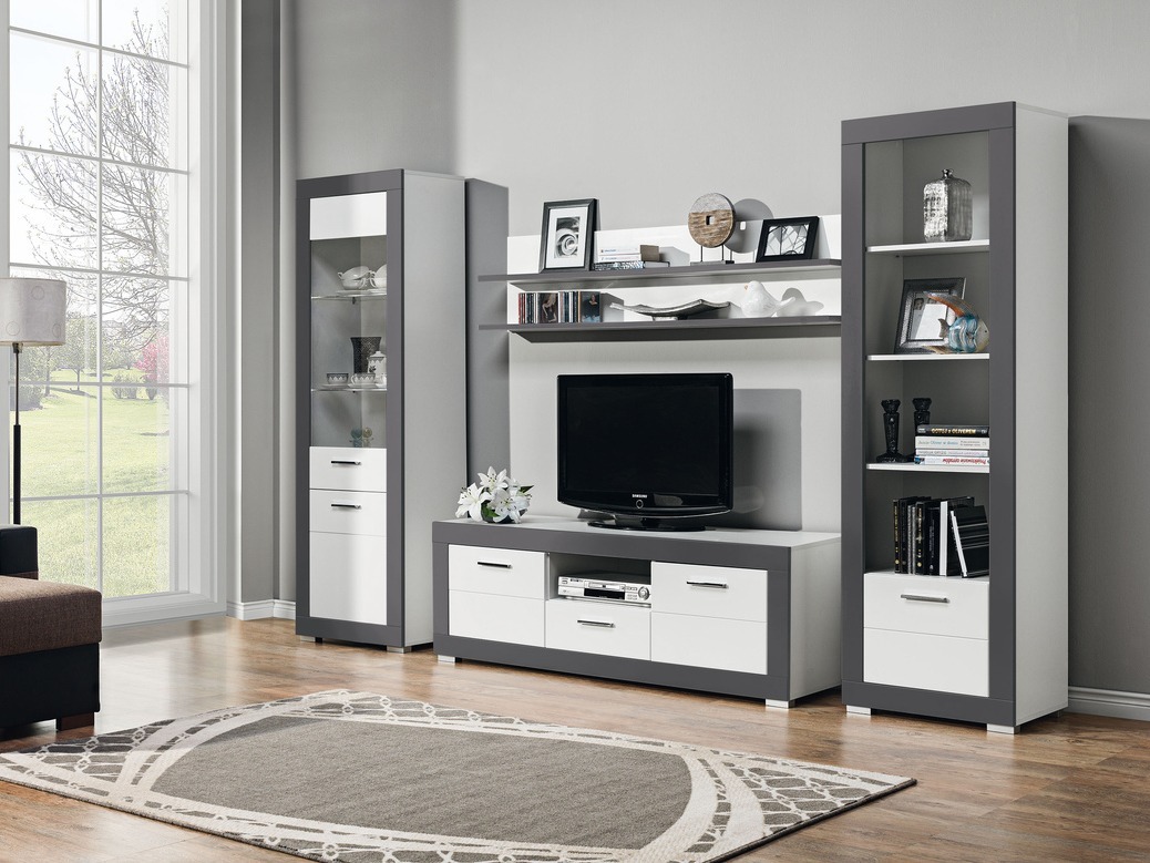 Dnevni boravak Ferciru 113