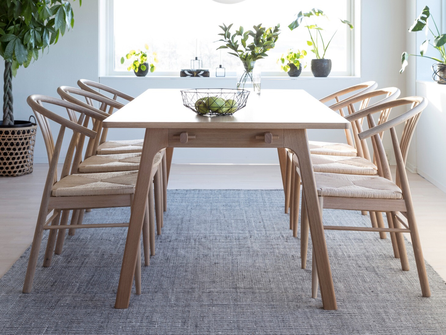 Stolica Norsica 463 (Izbijeljeni hrast + Svijetlo smeđa)