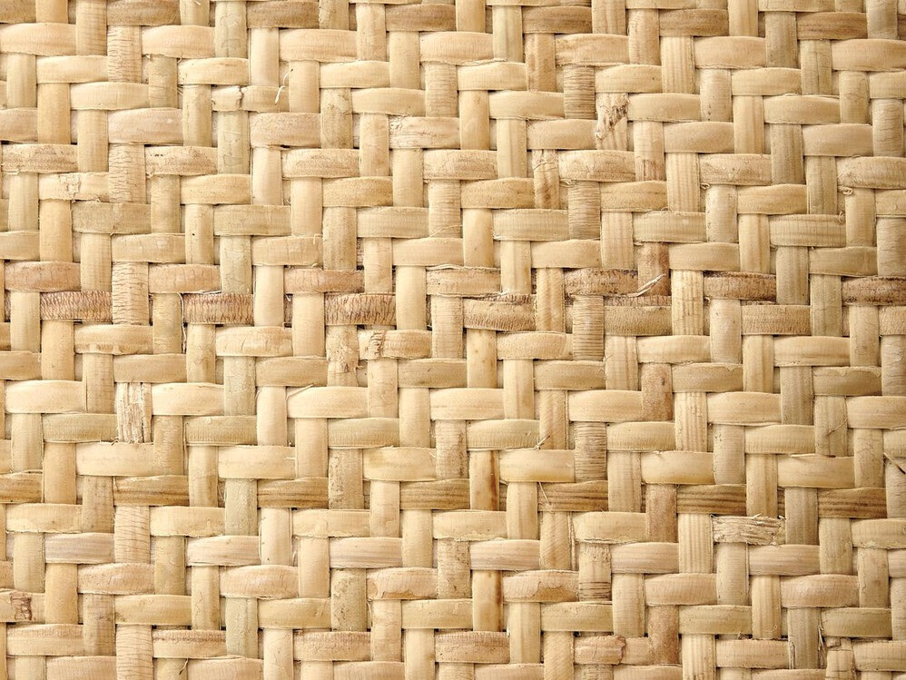 Stolica Houston 1493