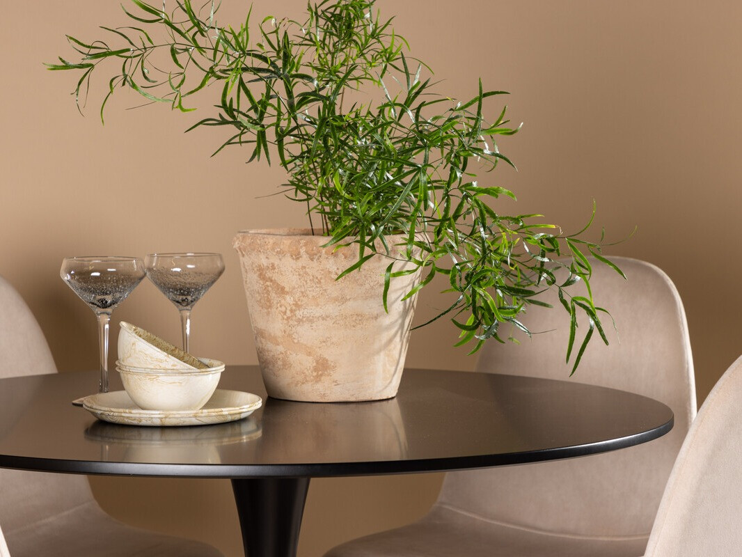 Blagovaonski set Dallas 4163 (Bež + Crna)