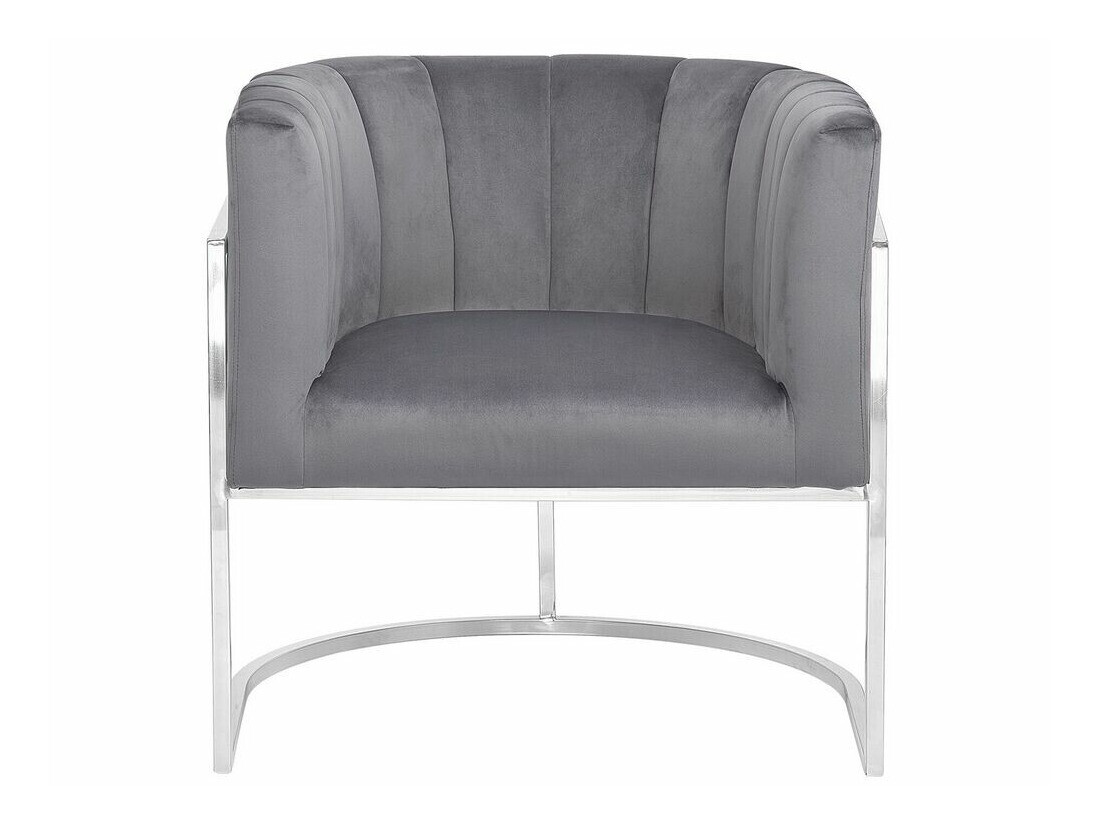 Fotelja Berwyn 1141 (Siva + Srebrna)
