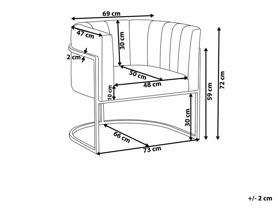 Fotelja Berwyn 1141 (Siva + Srebrna)