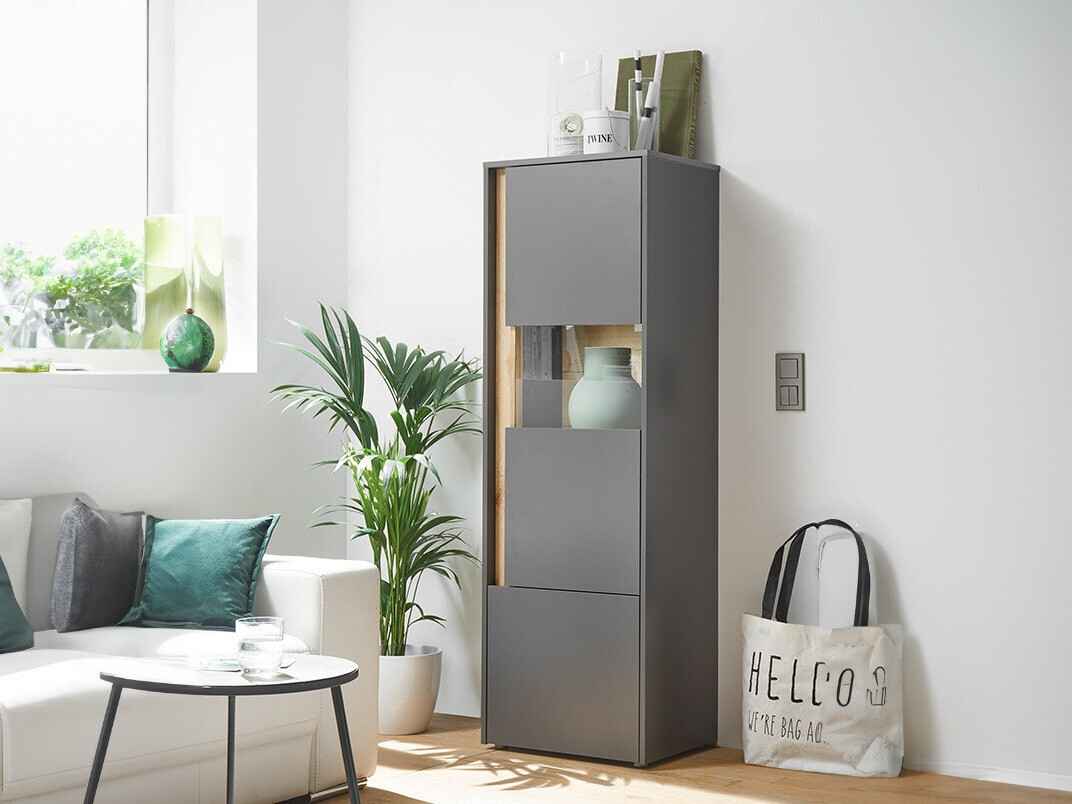 Polica Elbsori 102 (Antracit + Hrast Wotan)