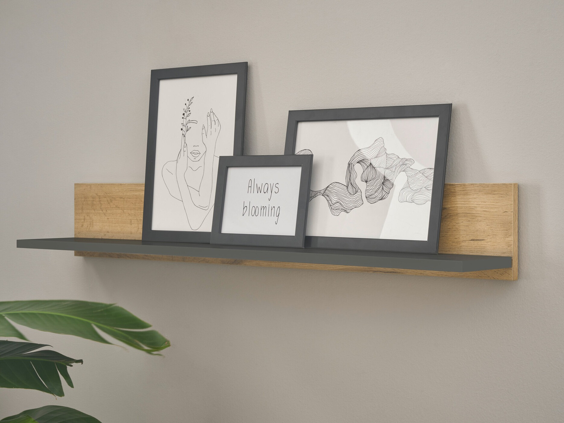 Zidna polica Elbsori 134 (Antracit + Hrast Wotan)