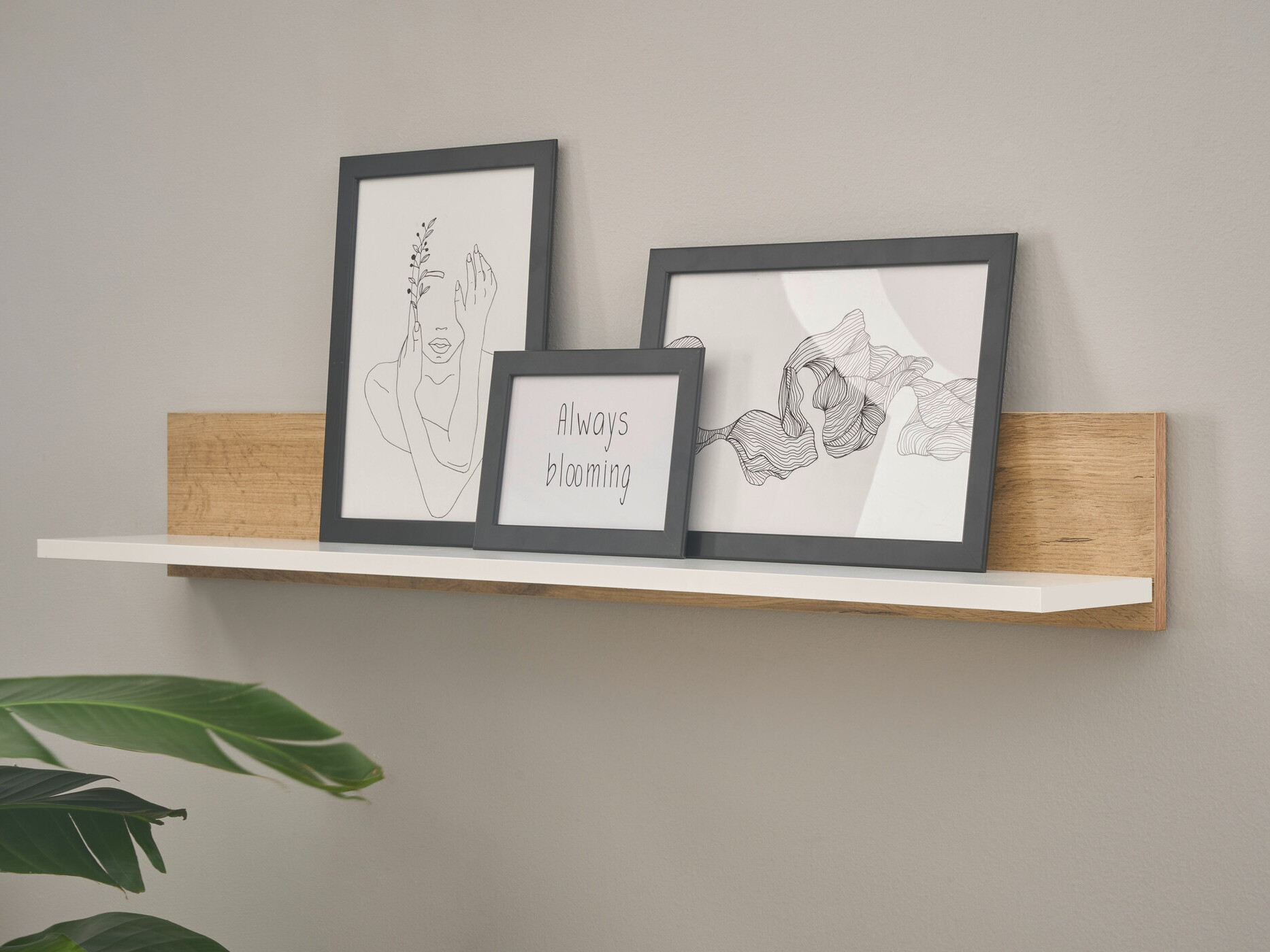 Zidna polica Elbsori 134 (Hrast Wotan + Bijela)