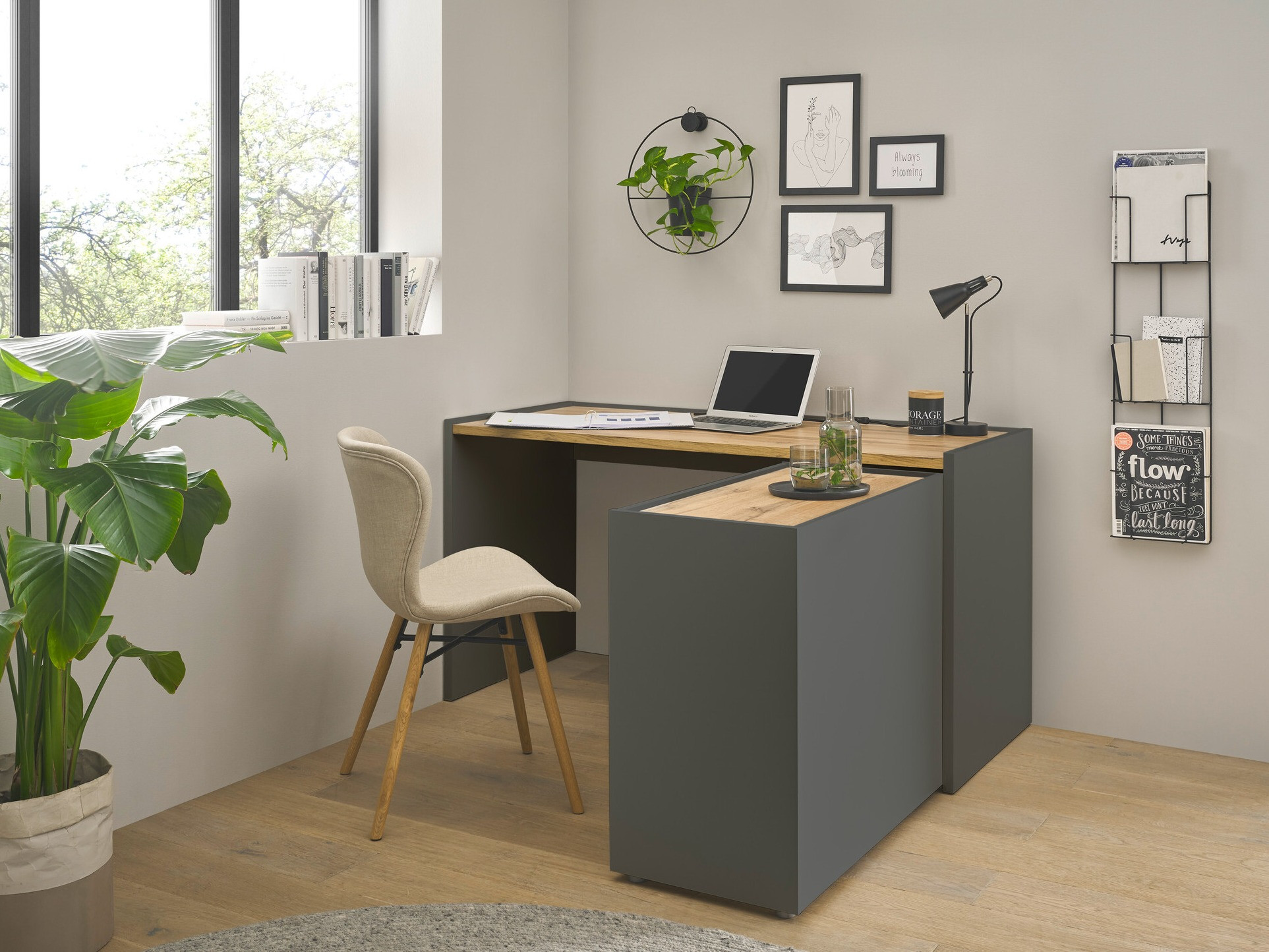 Set za kućni ured Elbsori 151 (Antracit + Hrast Wotan)
