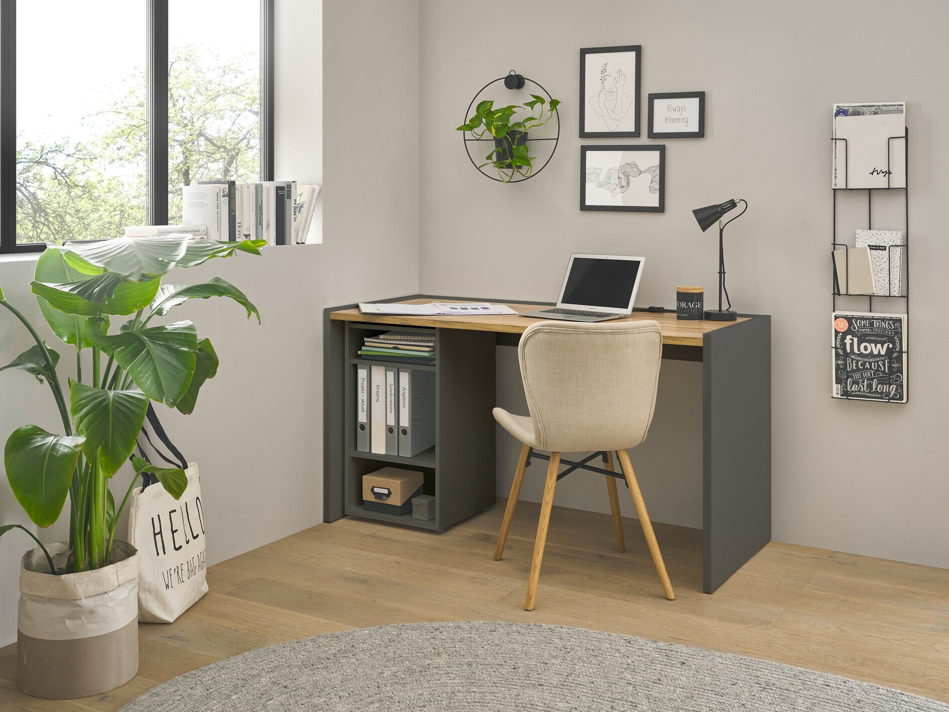 Set za kućni ured Elbsori 153 (Antracit + Hrast Wotan)