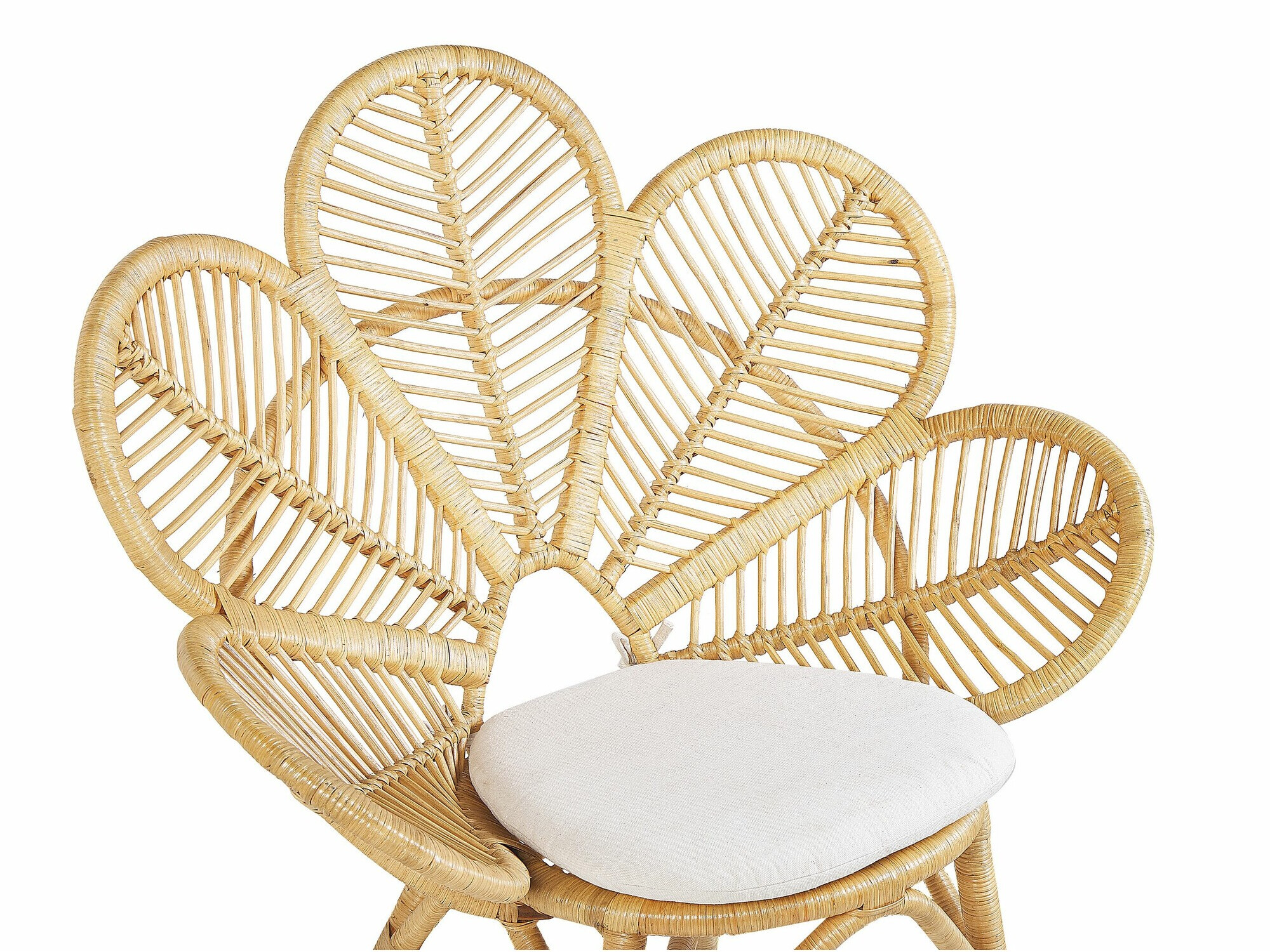 Vrtna stolica Berwyn 1890