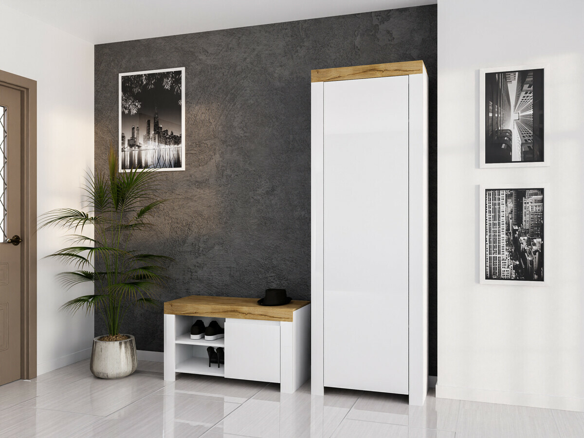 Ormarić za cipele Sonsoru 118 (Bijela + Sjajno bijela + Hrast Wotan)