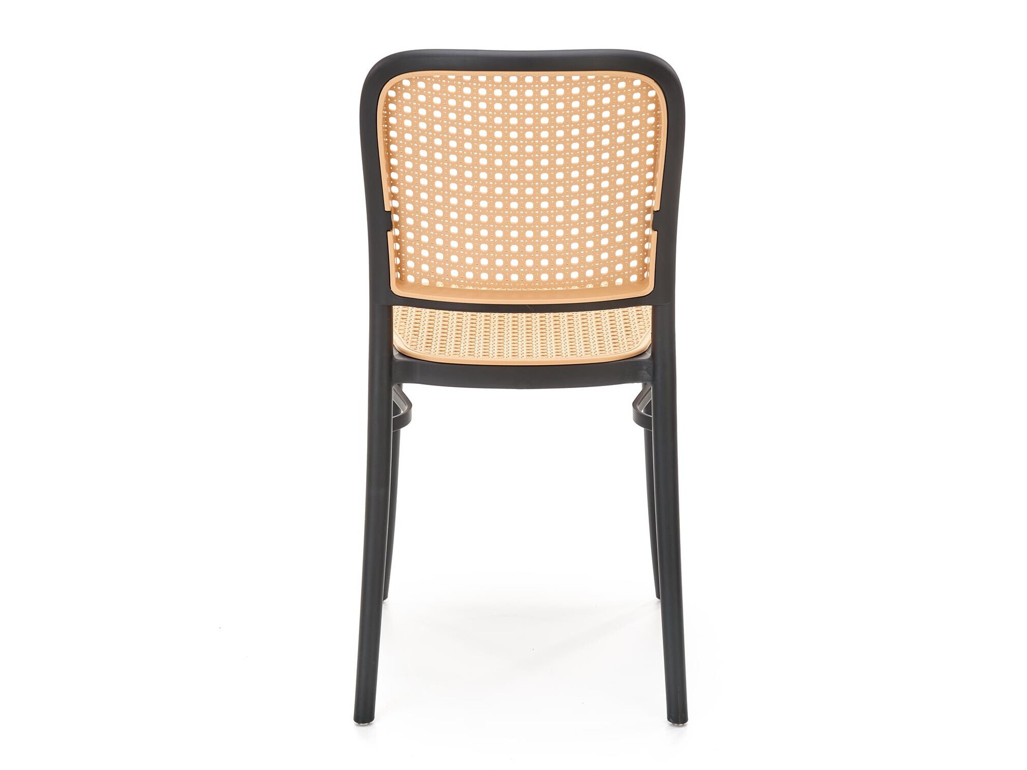 Stolica Houston 1831