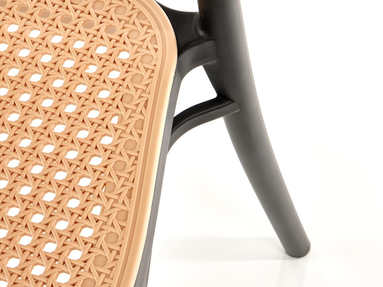 Stolica Houston 1831