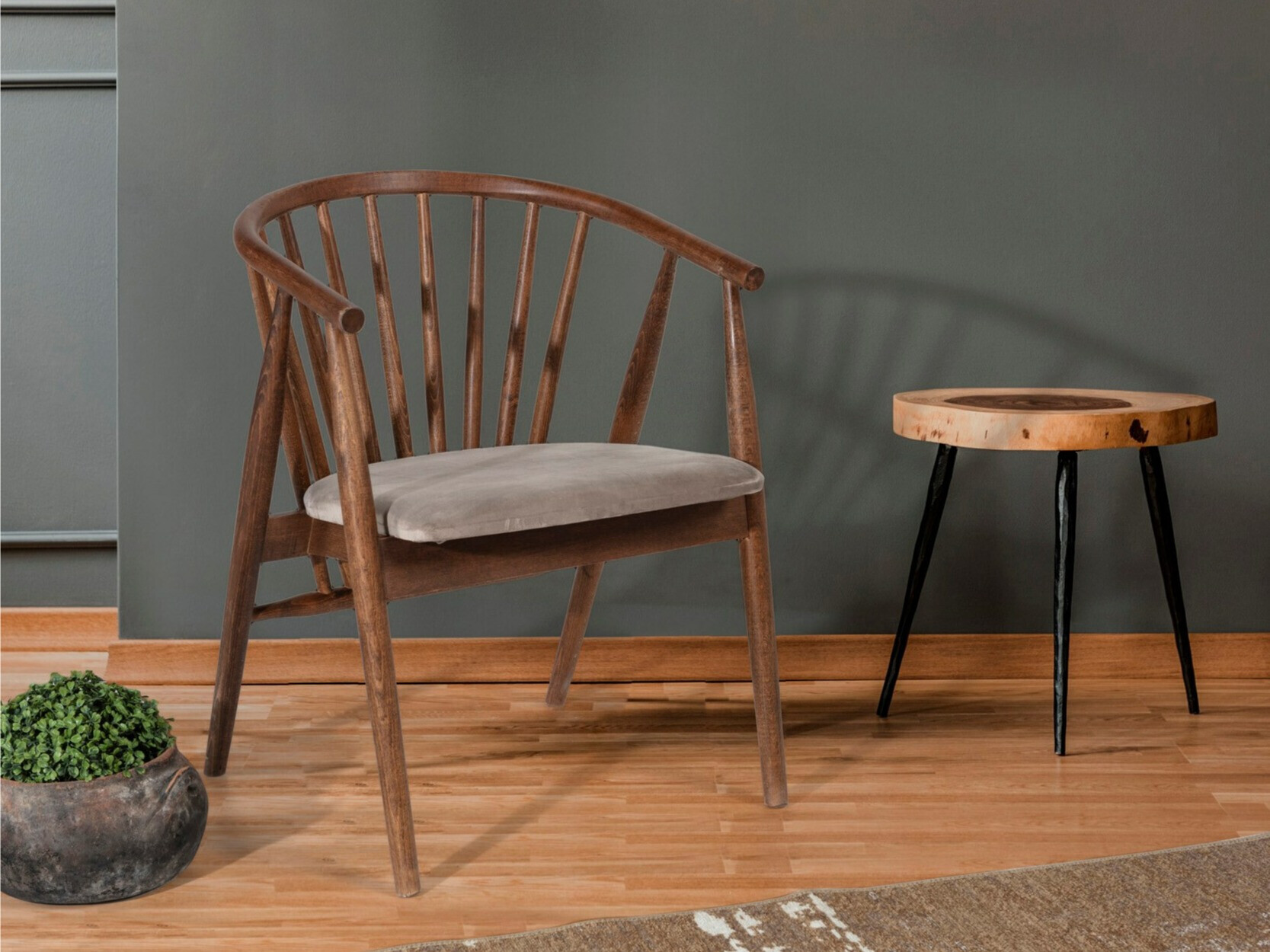 Stolica Kailua 2258 (Bež + Orah)