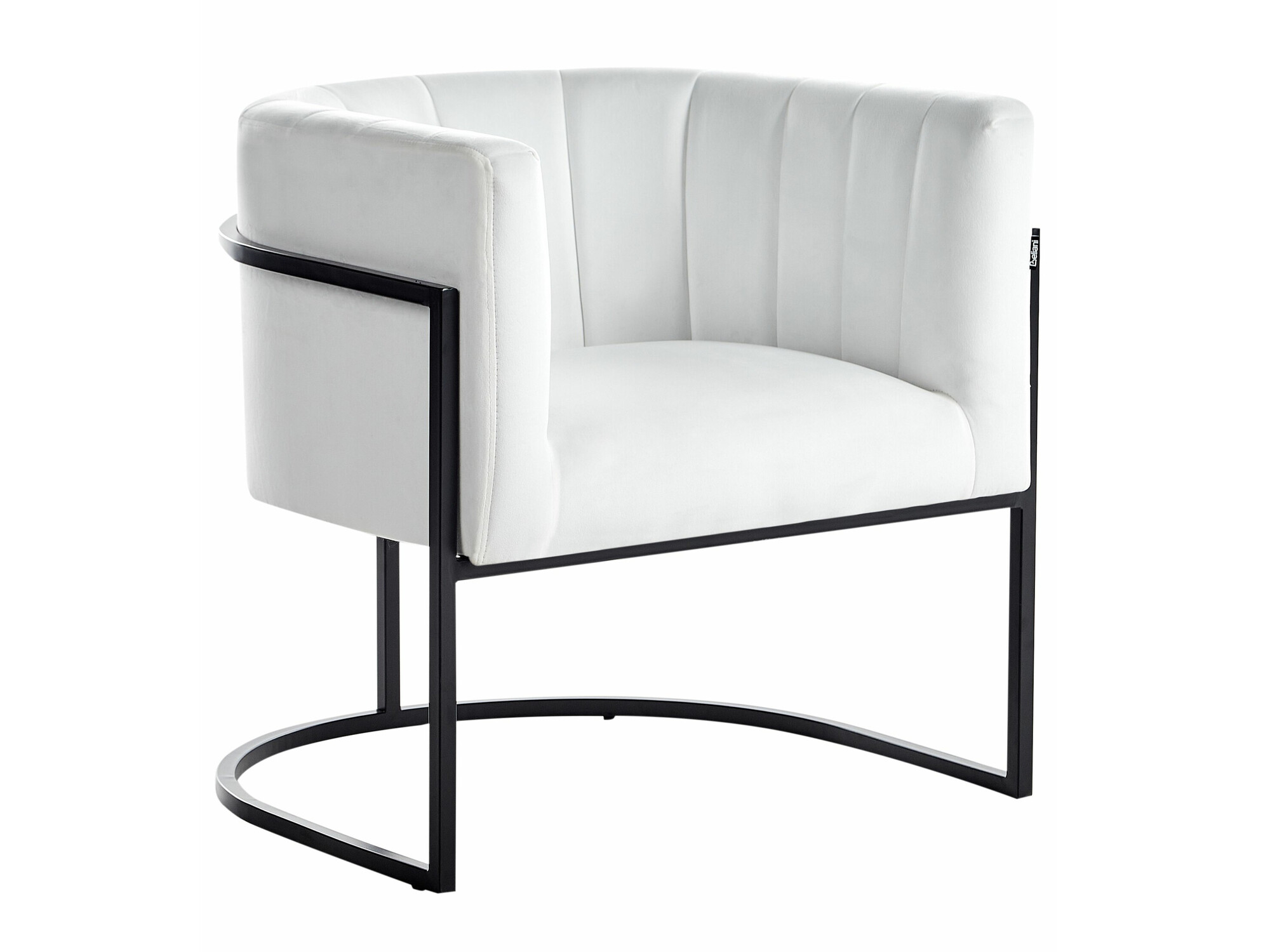 Fotelja Berwyn 1141 (Bijela + Crna)