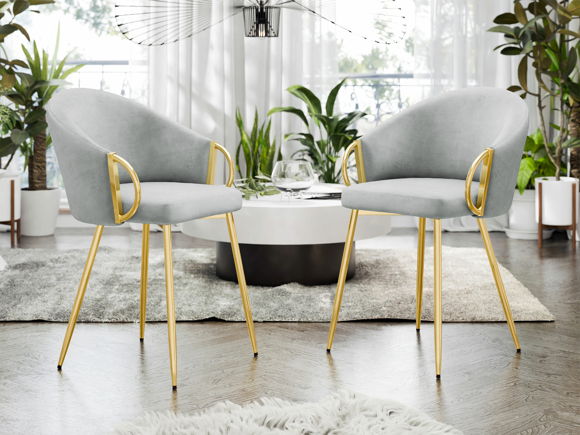 Stolica Comfivo Hilaritas XIV (Siva)