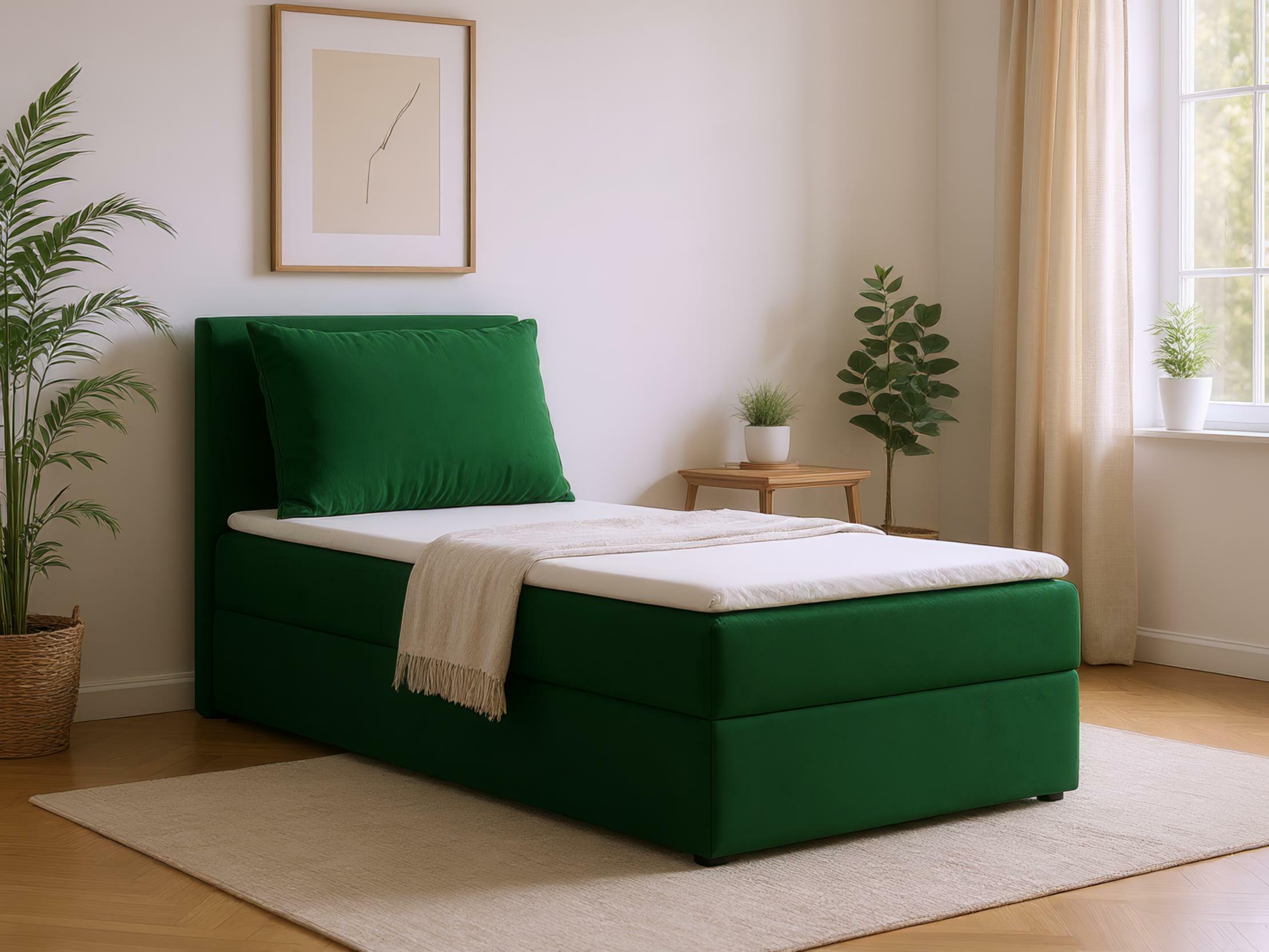 Boxspring krevet Franklin 178 (Kronos 19)