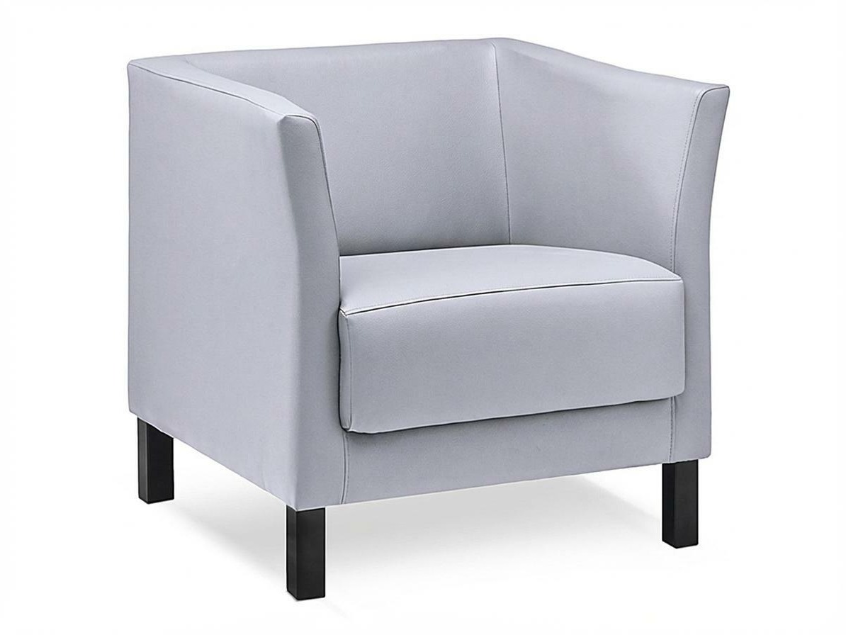 Fotelja Dalrevu 100 (Siva)