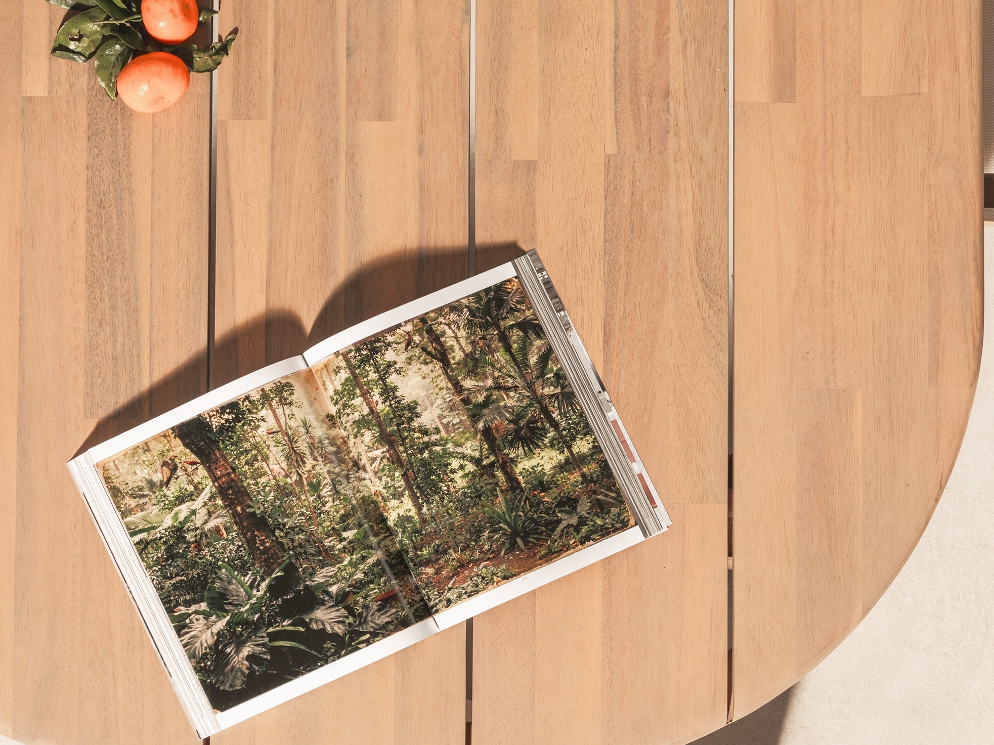 Set stola i stolica Burleson 702